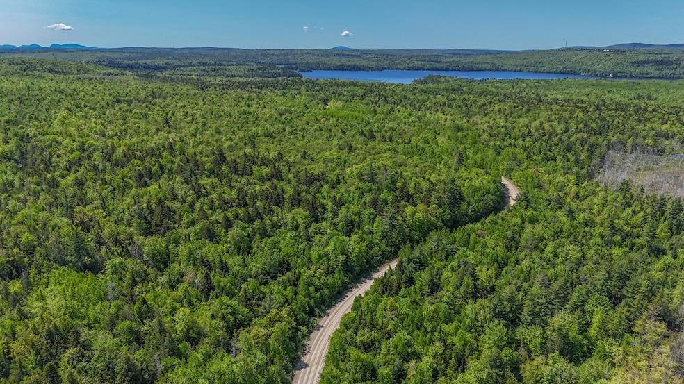 DJI_20250603104210_0049_D