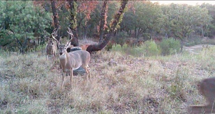 TBD Sandpiper Dr, Weatherford, TX 76088 - photo 1