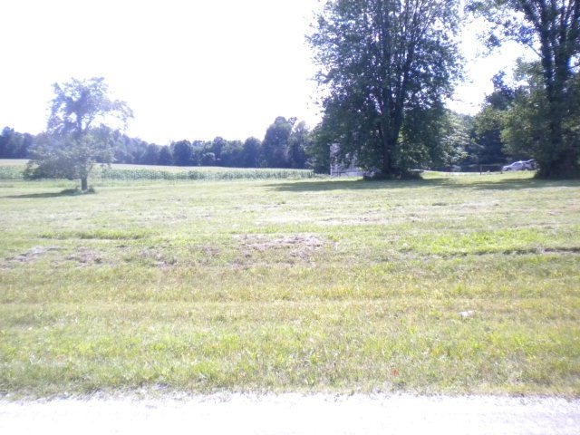 Primary Photo