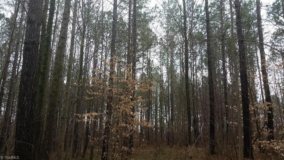 5680 Silk Hope Gum Springs Rd, Siler City, NC 27344 - photo 1