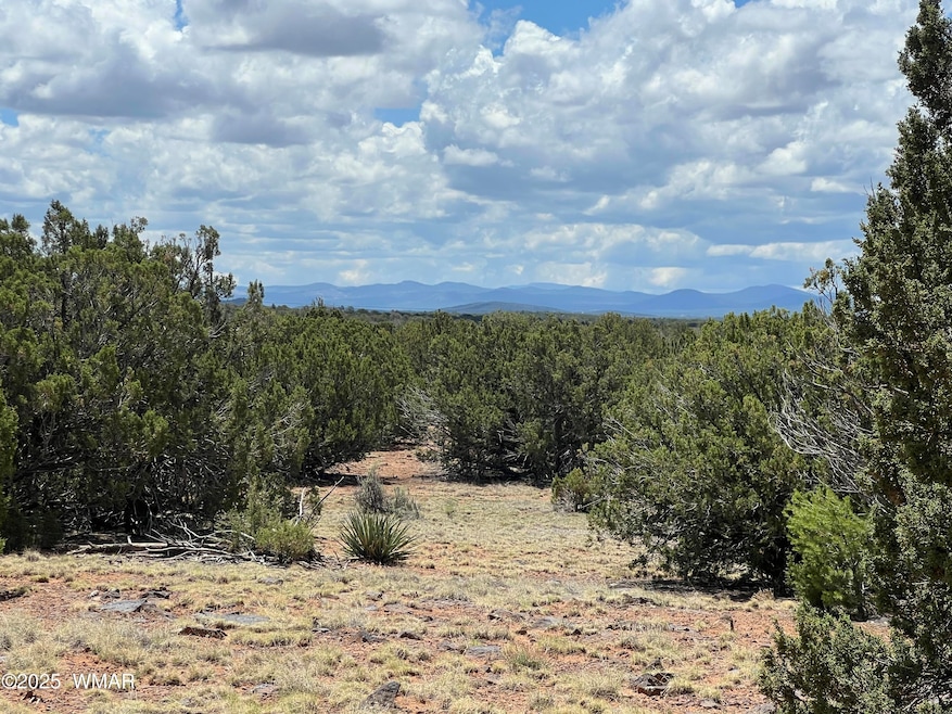 0 8309, Concho, AZ 85924 - photo 1