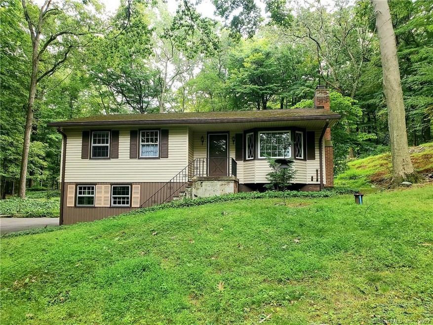 169 Mount Pleasant Rd, Newtown, CT 06470 - photo 1