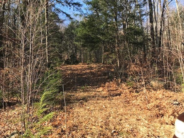 123 Ossipee Mountain Rd unit 9, Ossipee, NH 03814 - photo 1