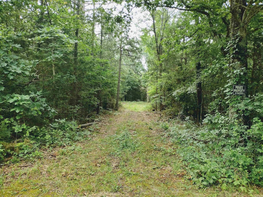 0 Little Pond Dr unit 25023106, Mountain View, AR 72560 - photo 1