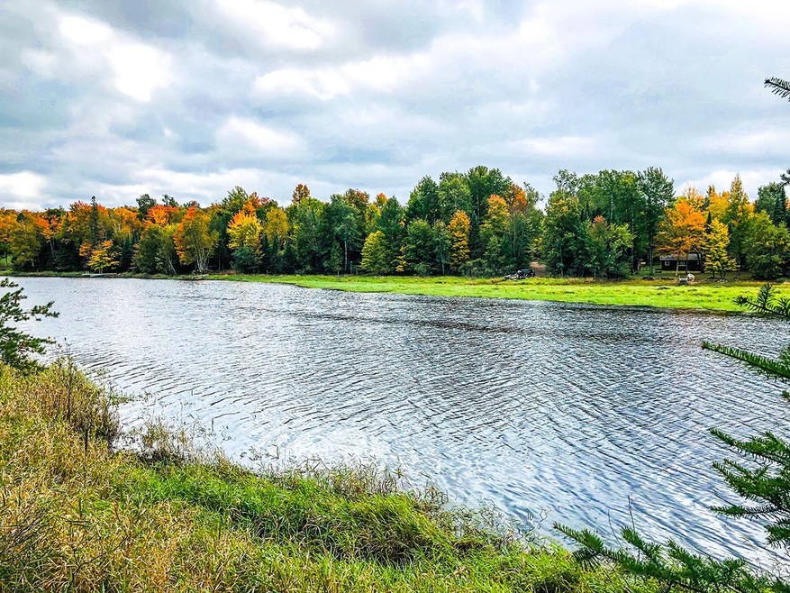 W8603 Wauwatosa Ave, Tomahawk, WI 54487 - photo 1