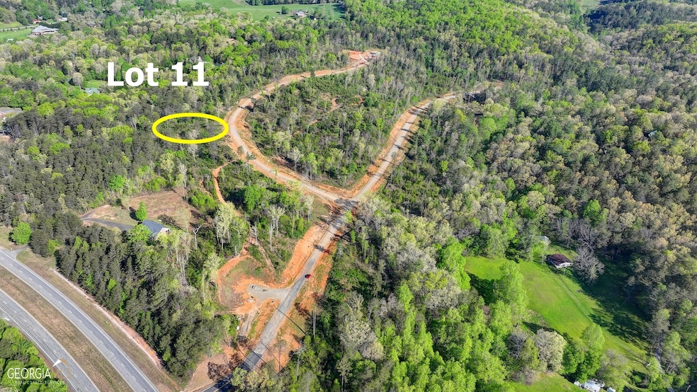 LOT 11 Greenfield Rd, Morganton, GA 30560 - photo 1