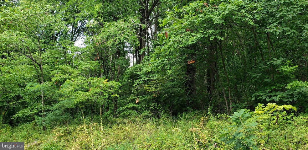 0 Pickford Ct unit VAWR2000688, Shenandoah, VA 22630 - photo 1