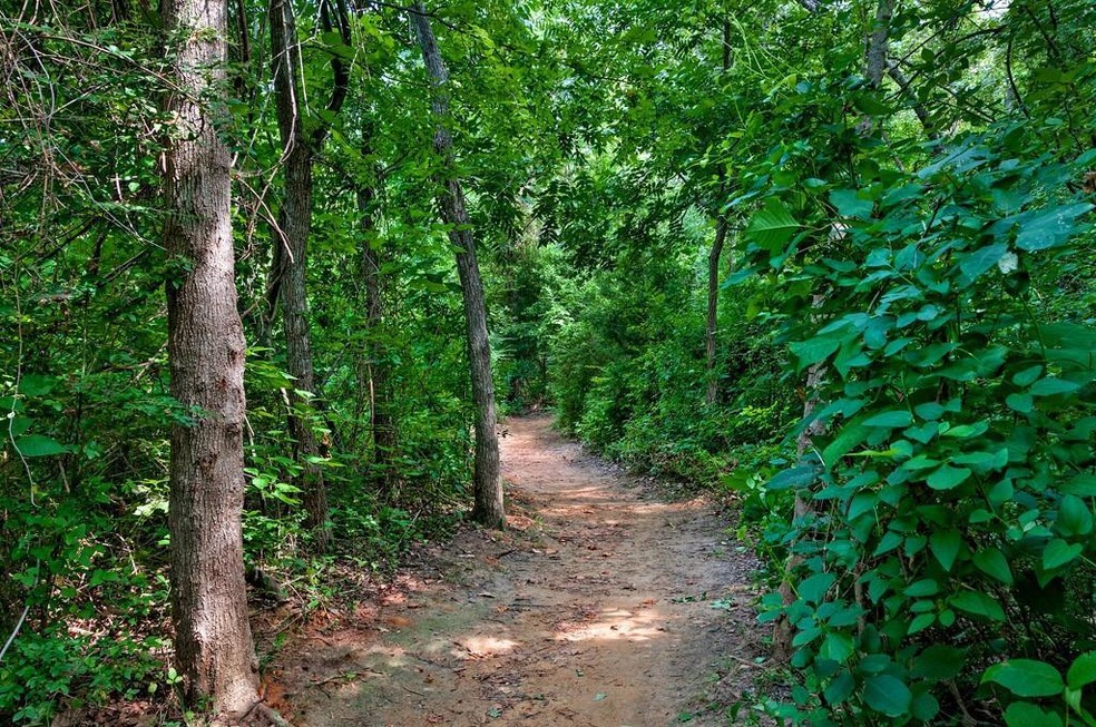 1031 S Derby St, Denison, TX 75020 - photo 1