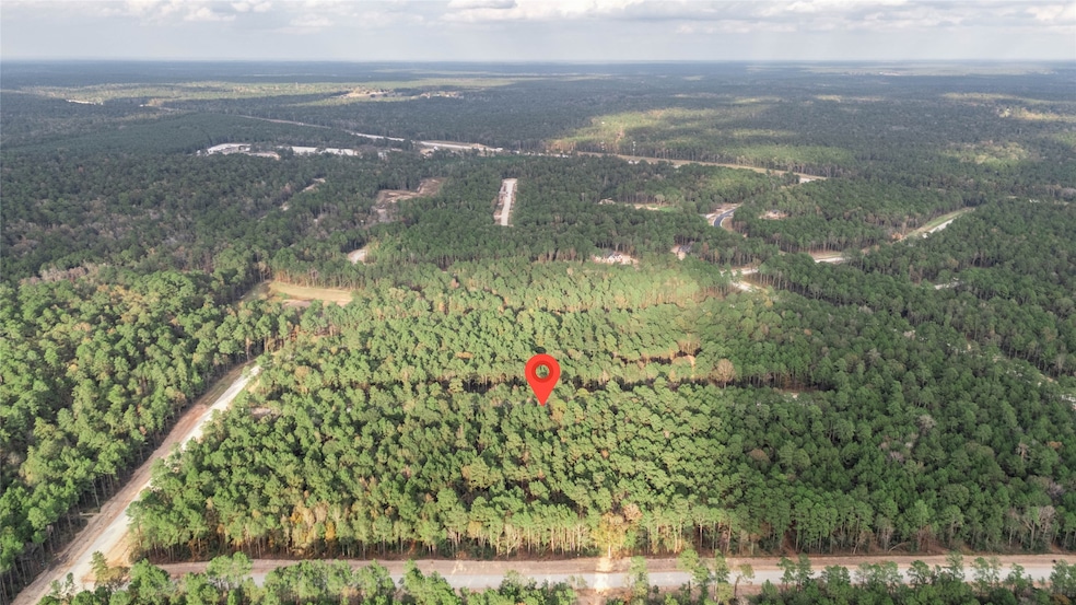 134 Splendid Rd, New Waverly, TX 77358 - photo 1