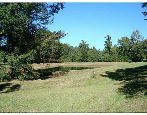 0 Trinity Church Rd, Pineville, LA 71360 - photo 1