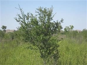 0000000 Joerger, Rosenberg, TX 77471 - photo 1