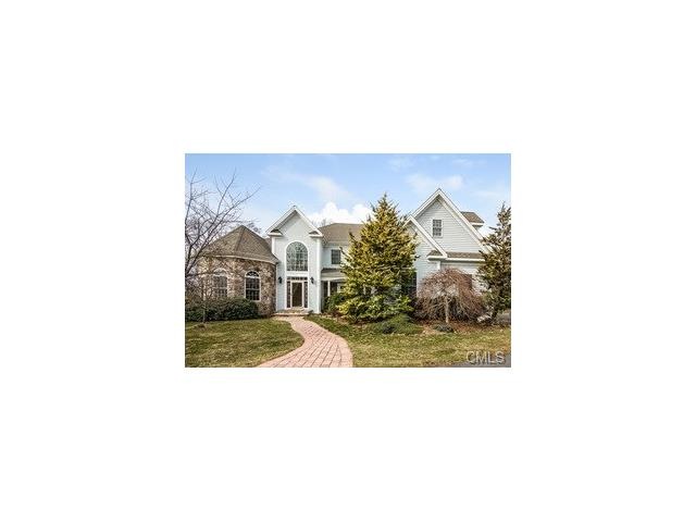 10 Bob Cat Ln, Newtown, CT 06470 - photo 1