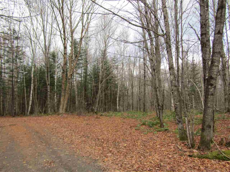 31-1 Moose Trail, Clarksville, NH 03592 - photo 1