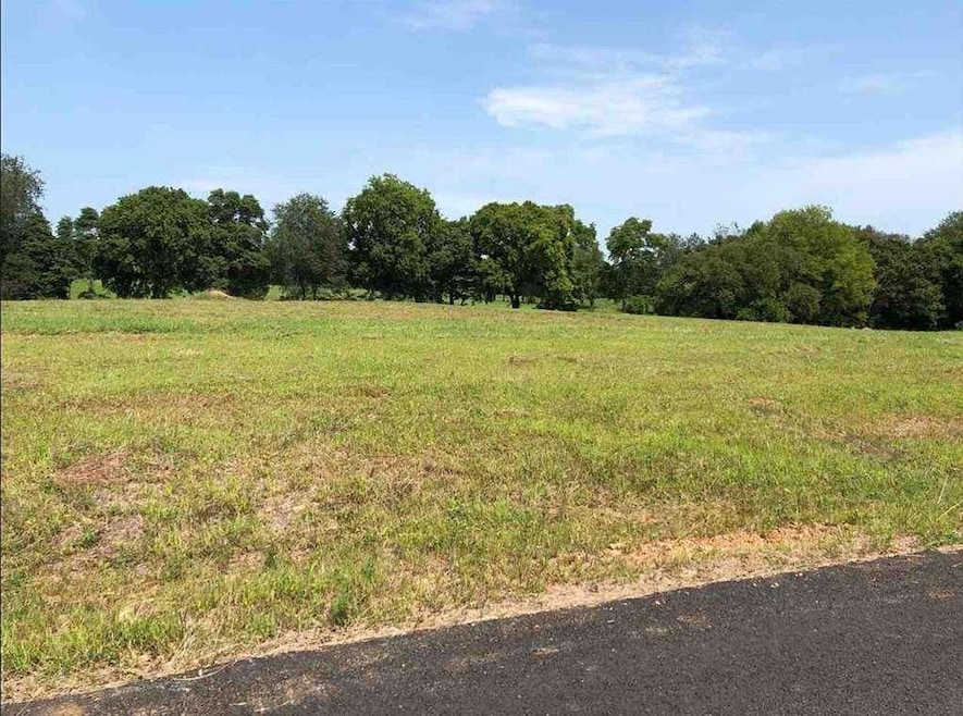 293 Crabtree Ln, Bowling Green, KY 42103 - photo 1