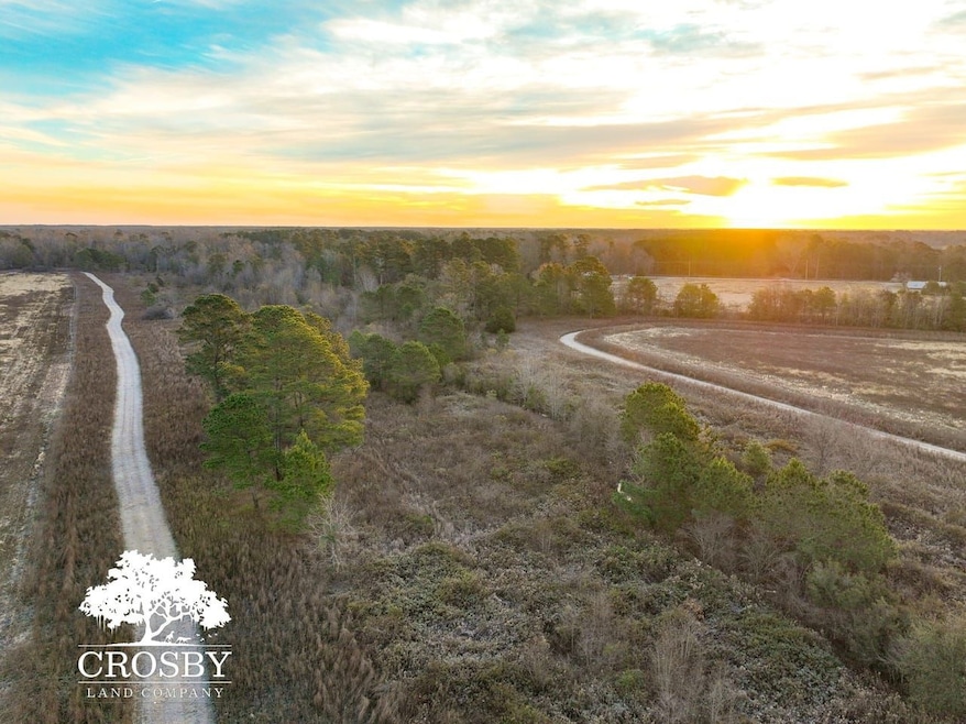 0 Reverend Jw Carter Rd, Manning, SC 29102 - photo 1