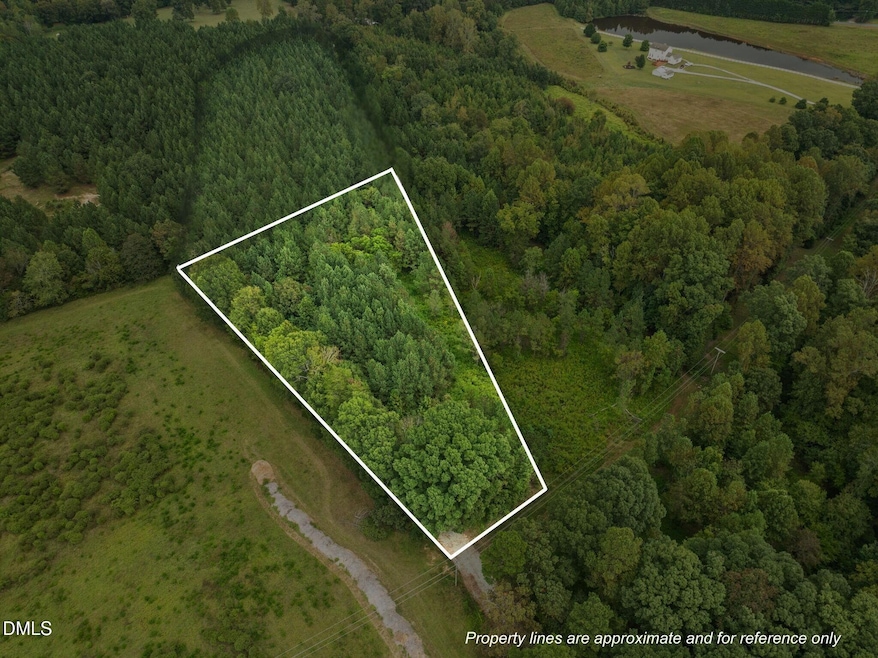 Lot 1 Wolf Tree Way, Efland, NC 27243 - photo 1