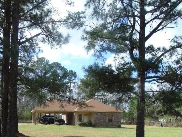 Main View