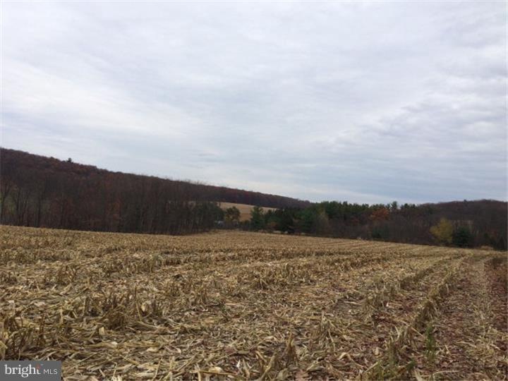 0 E Dogwood Ln unit 1003152136, Schuylkill County, PA 18211 - photo 1