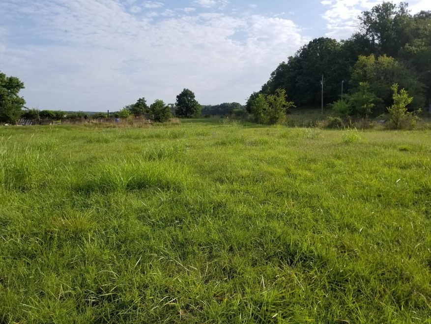 Peach Orchard gate pasture 2