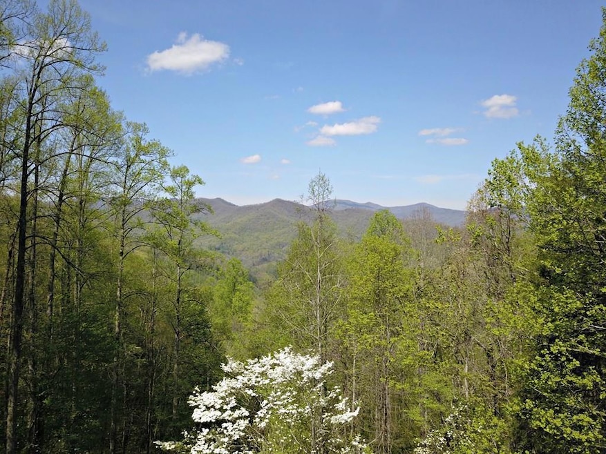 528 Early Deitz Rd, Sylva, NC 28779 - photo 1