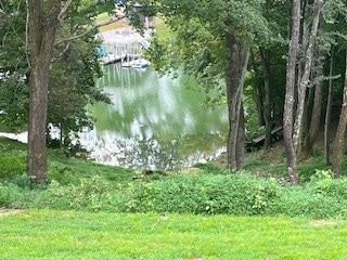 0 Cline Ridge Rd unit RTC2969476, Winchester, TN 37398 - photo 1