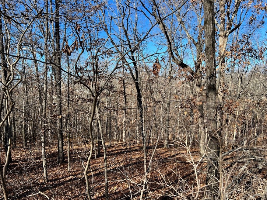 0 Chatburn Ln, Bella Vista, AR 72715 - photo 1