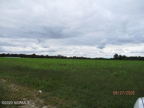 0 Daughtry Town Rd, Halls, NC 28328 - photo 1