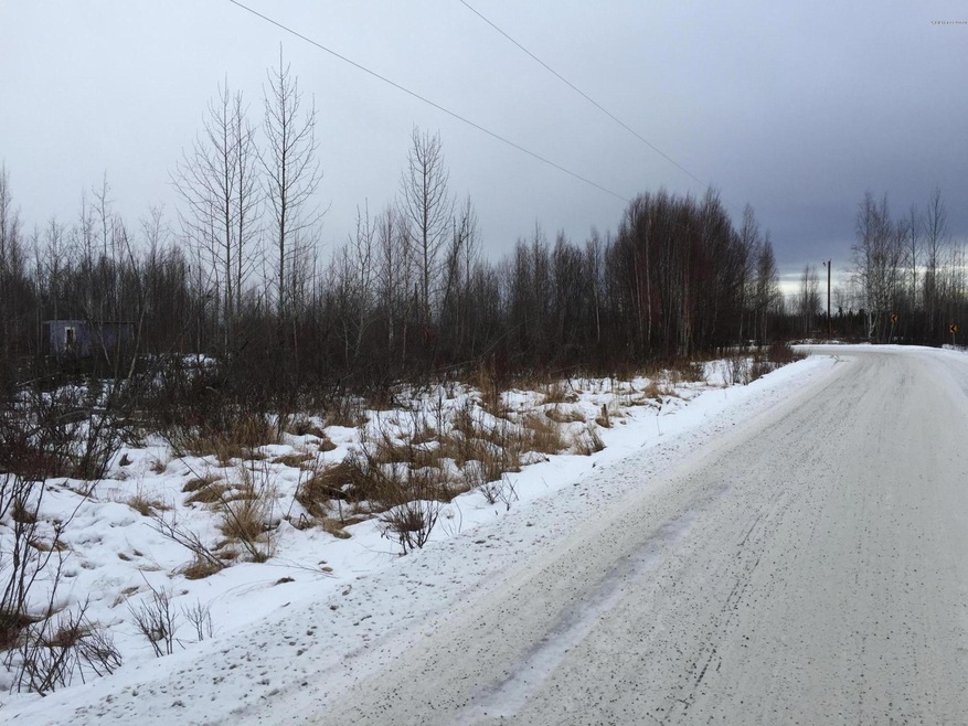 13161 W Maplewood Dr, Big Lake, AK 99623 - photo 1