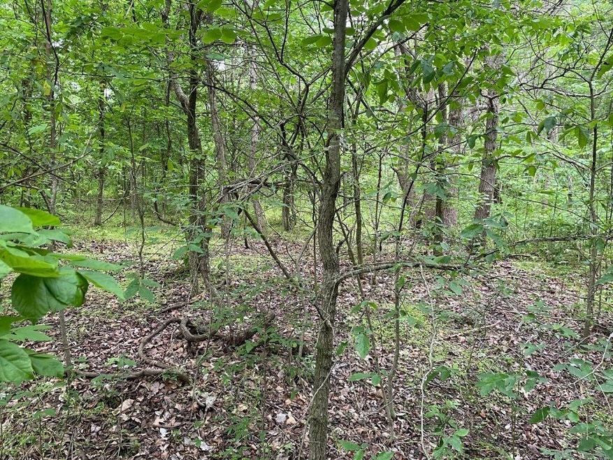 0 Hartlepool Ln, Bella Vista, AR 72715 - photo 1