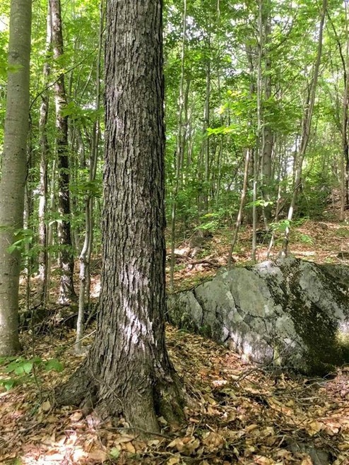 Sold $1,100,000 • Co-Listing Agent