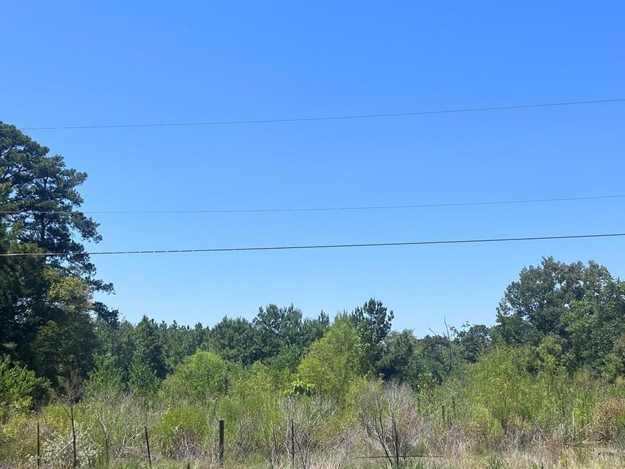 335 Fm 3258, Lufkin, TX 75904 - photo 1