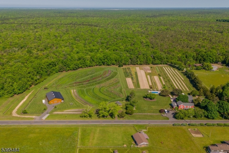 550 Hands Mill Rd, Woodbine, NJ 08270 - photo 1