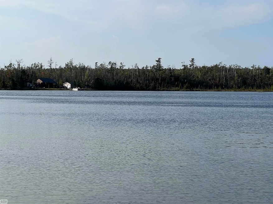 0 Godin Cir unit 50195596, Cheboygan, MI 49721 - photo 1