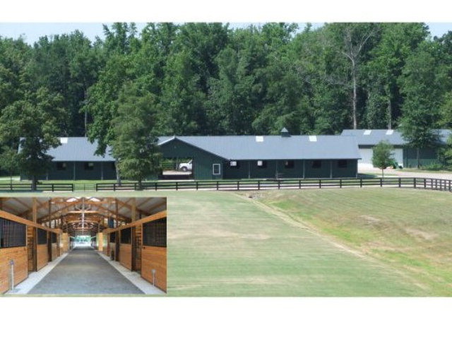 Main View