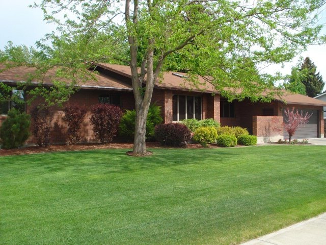 Main View