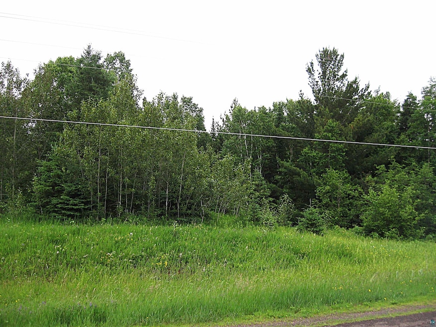 View of nature