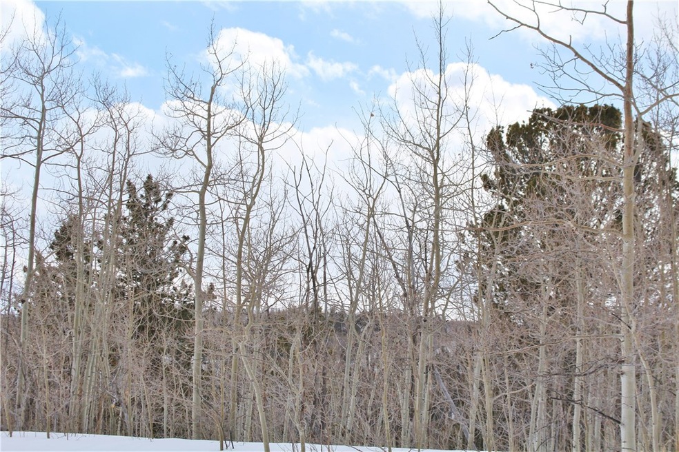 64 Rhea Rd, Como, CO 80432 - photo 1