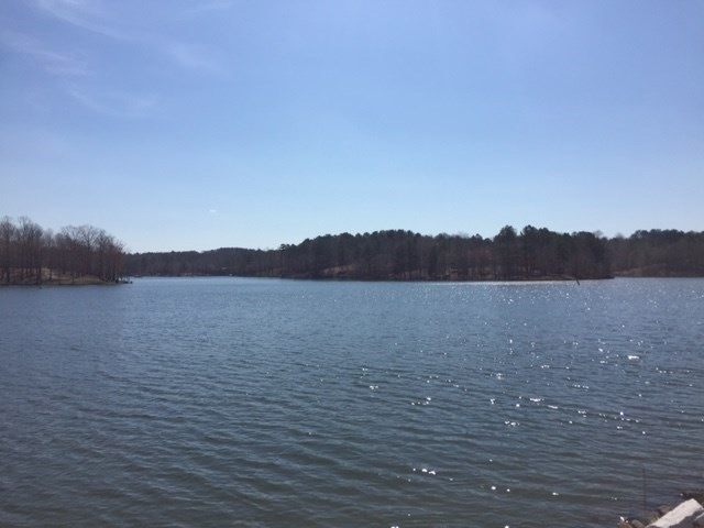 178 Highlands, Oxford, MS 38655 - photo 1