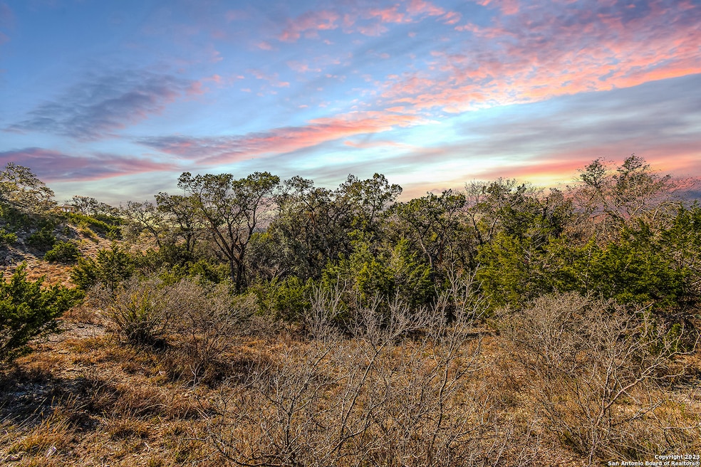 126 Riddle Rd, Spring Branch, TX 78070 - photo 1