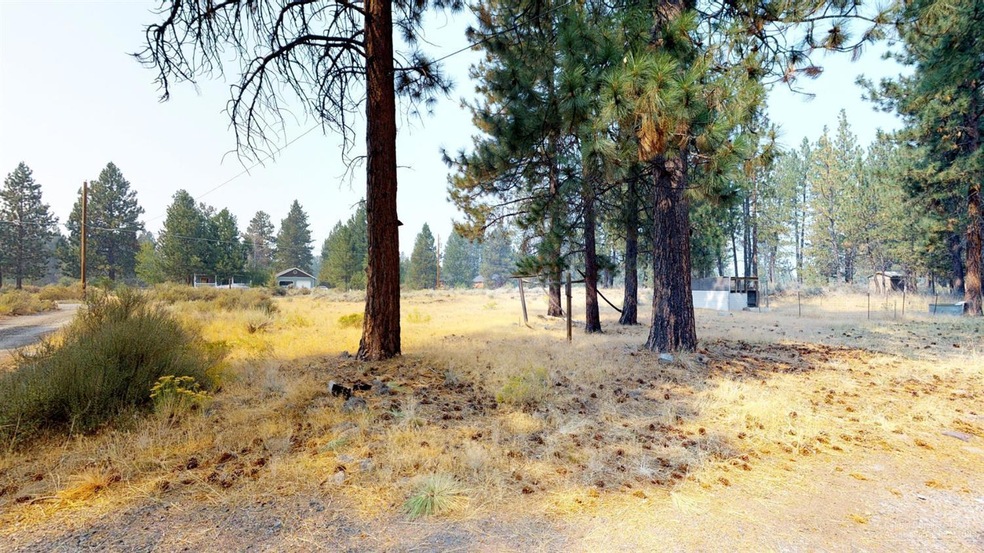 Primary Photo