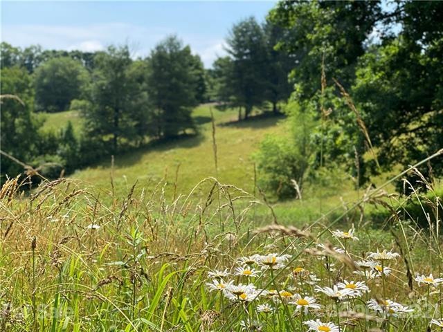 99999 Tweed Rd, Leicester, NC 28748 - photo 1