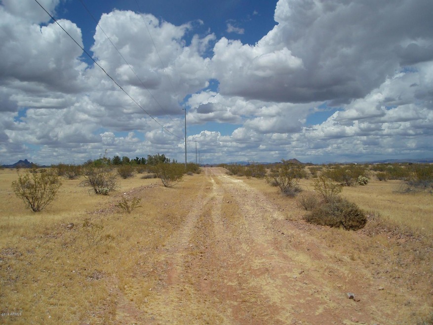 P5200017