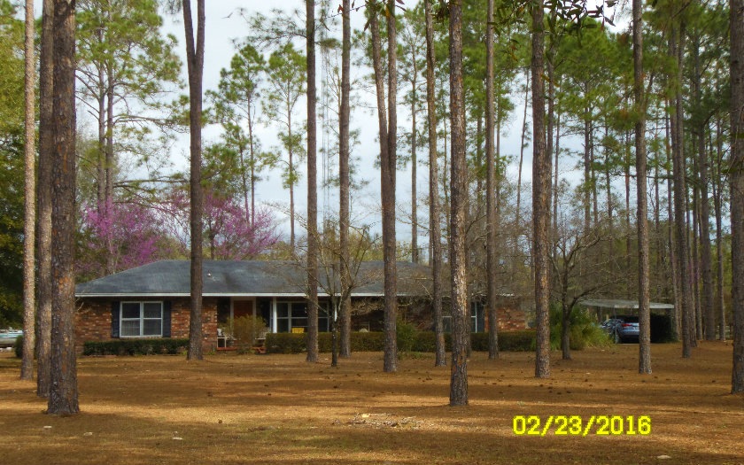 2929 SW Wilson Springs Rd, Fort White, FL 32038 - photo 1