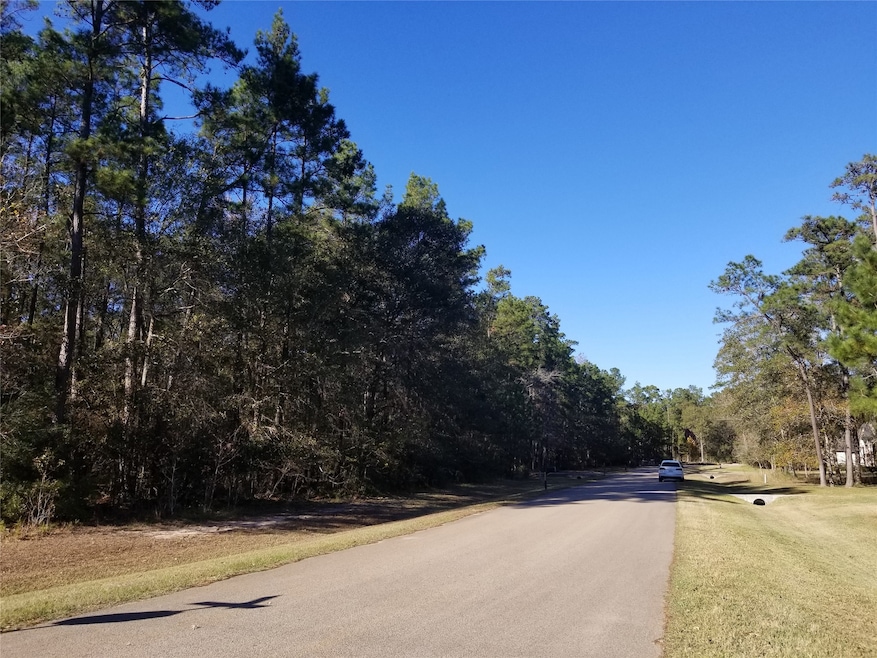 Beautiful wooded property to your left. View from Bridleway Circle