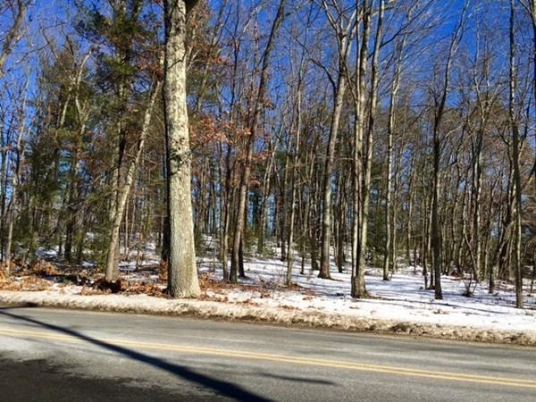 0 Long Plain Rd unit 71960759, Whately, MA 01373 - photo 1