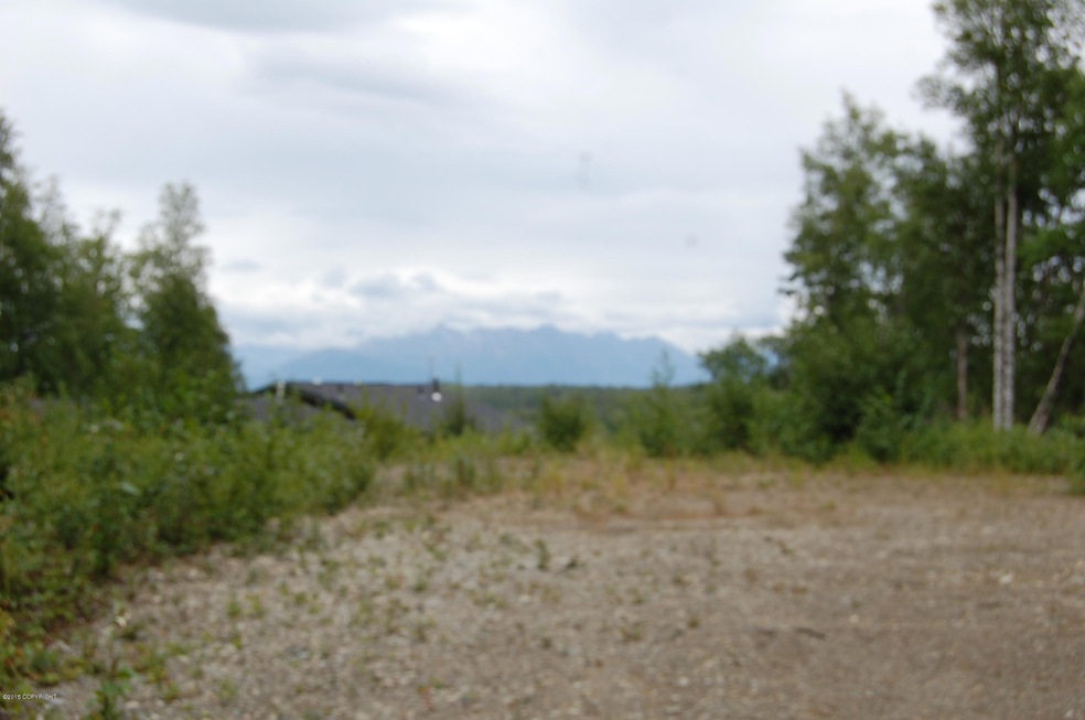 Homesite and Chugach Mtn view