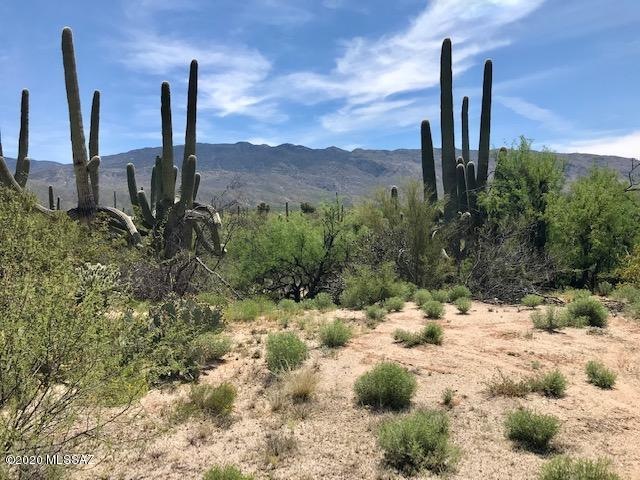 wentworth great saguaro's