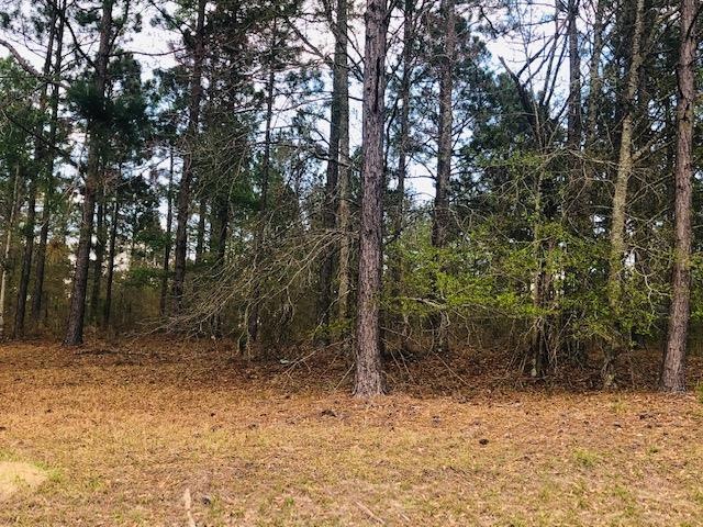 00 Old Savannah Rd, Vidalia, GA 30474 - photo 1