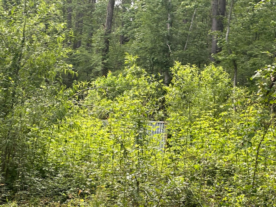 00 Weir St, Summerville, SC 29483 - photo 1