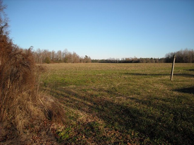 Main View